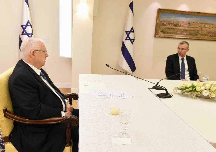 השר לוין בבית הנשיא (צילום: מארק ניימן, לע