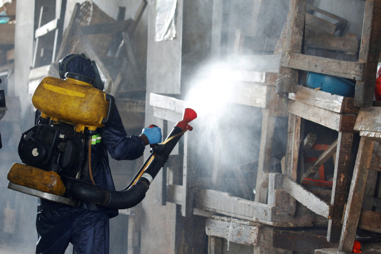 קורונה בעולם