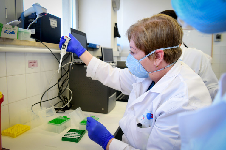 בדיקות קורונה בבית החולים ברזילי