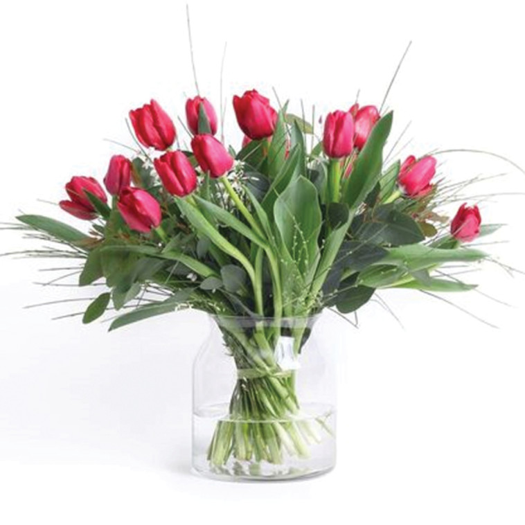 זר פור יו מונקו ZER4U