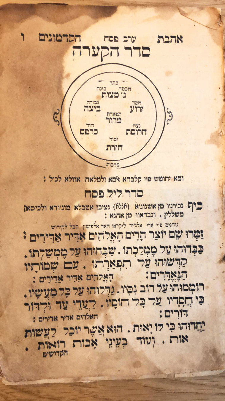 הגדת משפחת מיטל