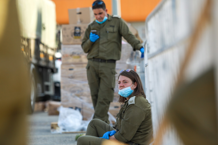 נגדי אט''ל במנוחה