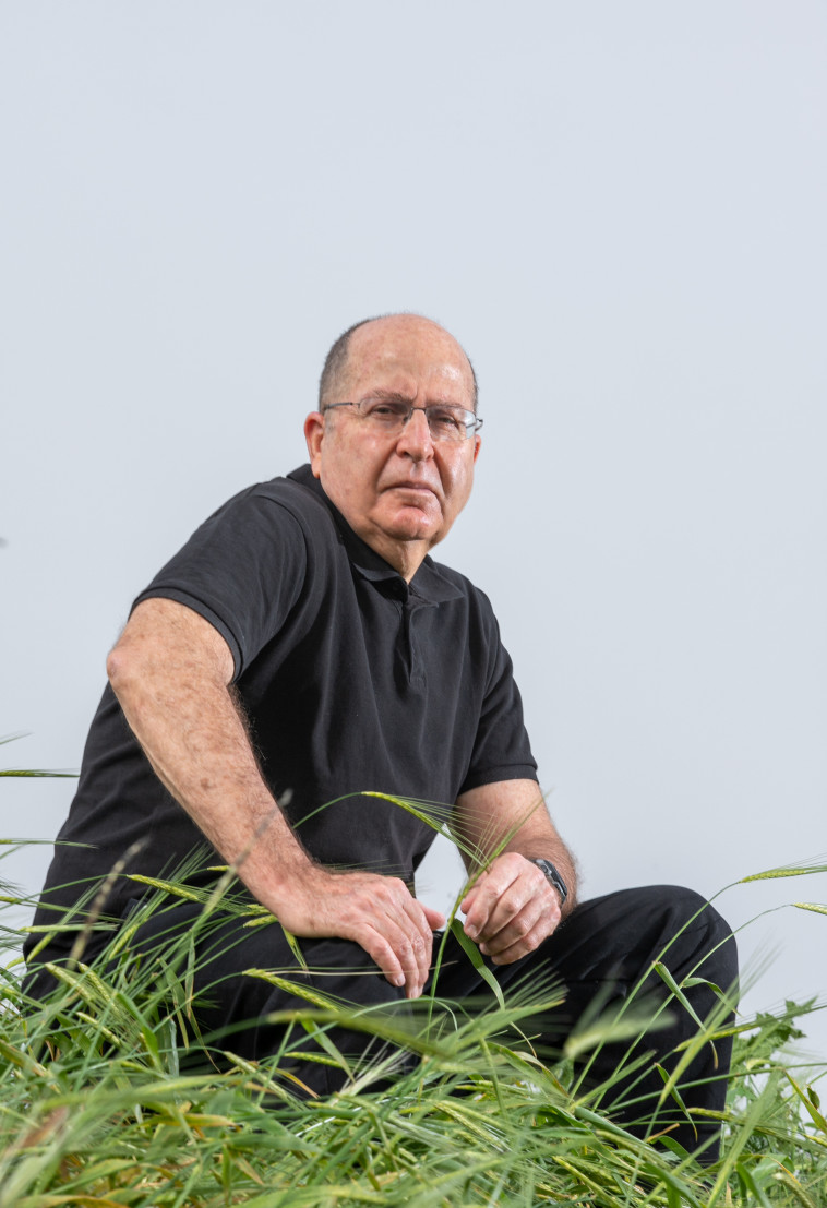 משה בוגי יעלון