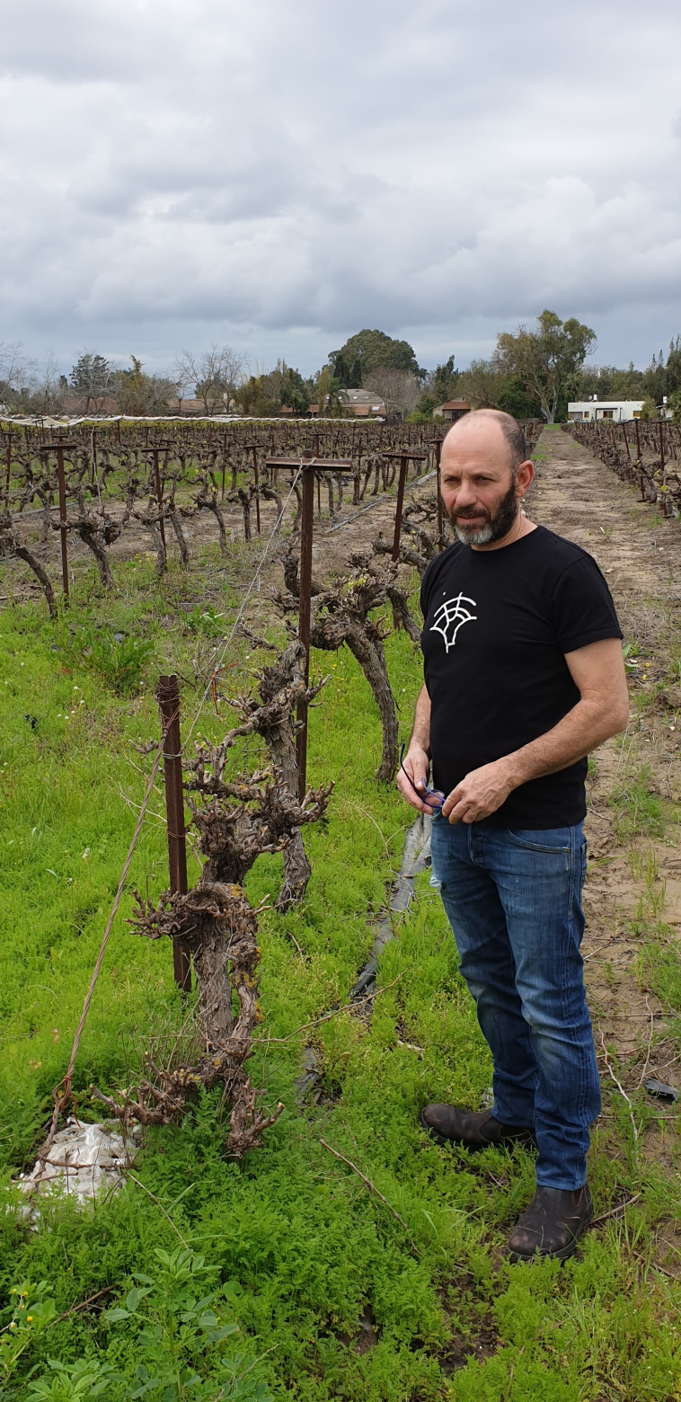 שמילוביץ, יקב נווה ירק