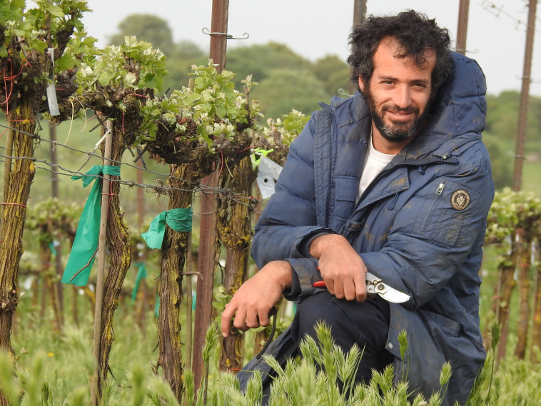 דרור טבנקין