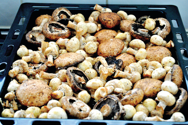 פטריות בתימין ובלסמי