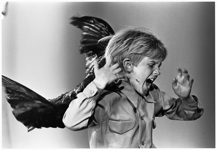 מתוך הסרט ''הציפורים'' 