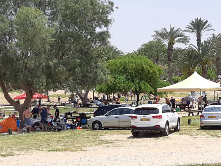 מטיילים בגן לאומי אשכול 