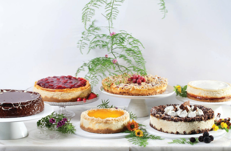 שבועות ב''ביסקוטי''