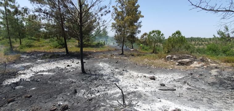 השריפה ברכס משלטים 