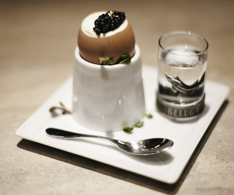 וודקה בלוגה, הצעת הגשה 