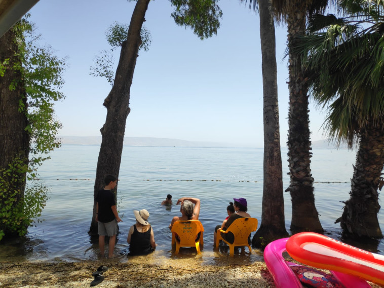 ישראלים נופשים בכנרת