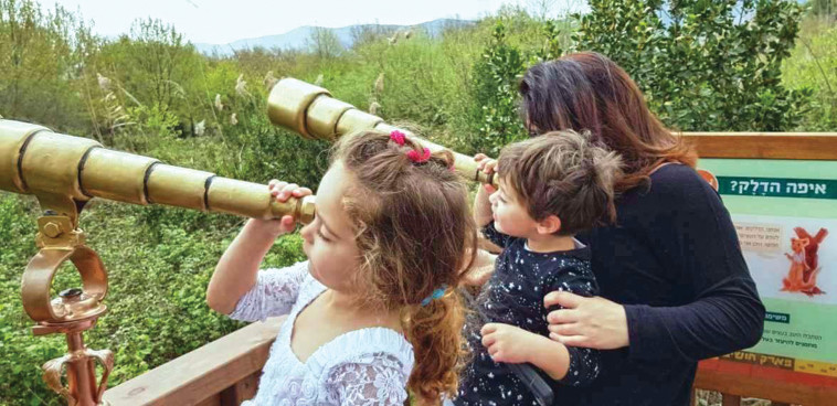 פארק החושים בנחל שניר