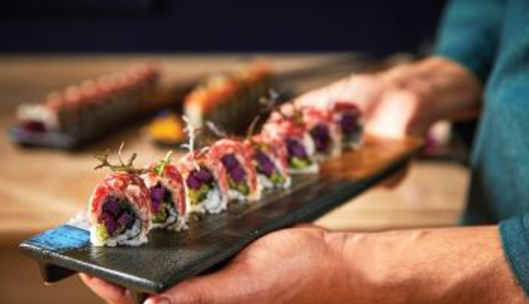 סושי שייטל של קאמאקורה