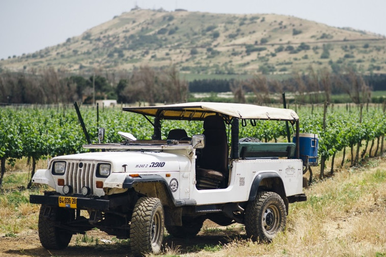 סיור כרמים, יקב רמת הגולן 
