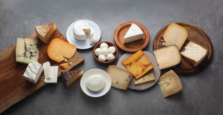 המלקט מחלבת בת הרים