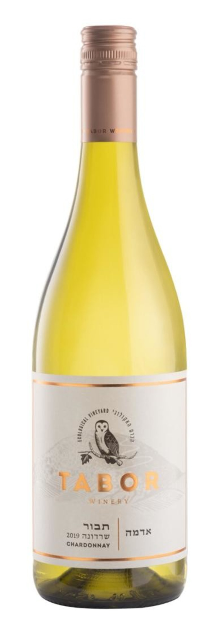 שרדונה 2019 של יקב תבור