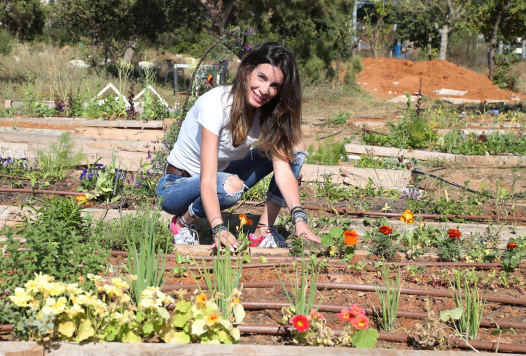 קרן צרפתי (צילום: שאול גולן)