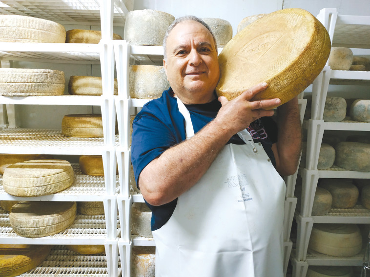 דני ברזילי - מחלבת הנוקד