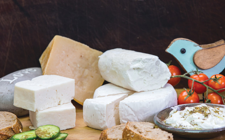 פלטת גבינות - משק שמואלי