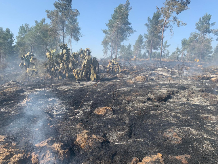 השריפה באזור ירושלים 