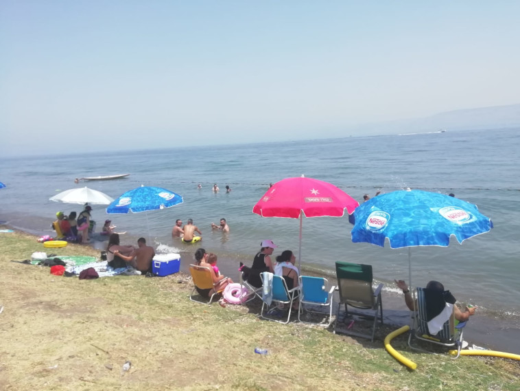 חוף שקמים בכנרת