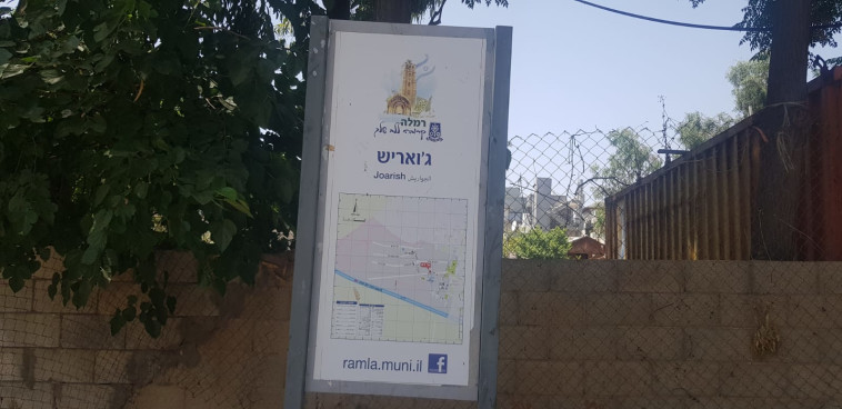 ג'ואריש