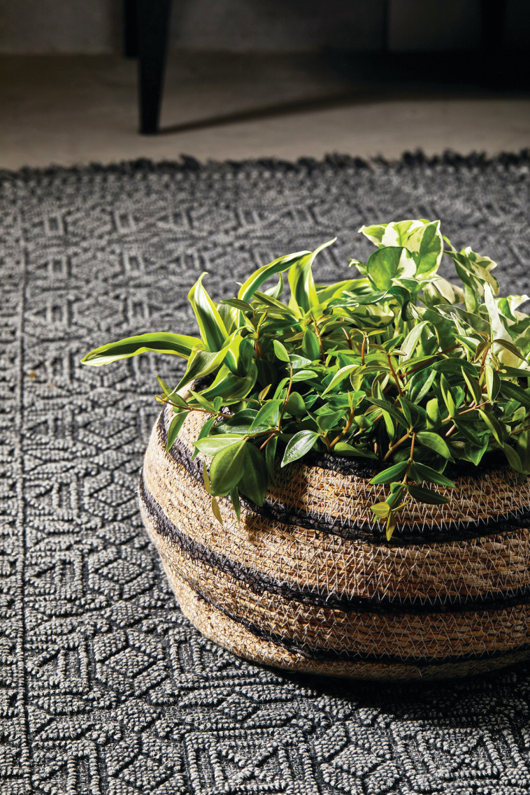 סל לעציץ מFOX HOME- מחיר: 89.90 ש