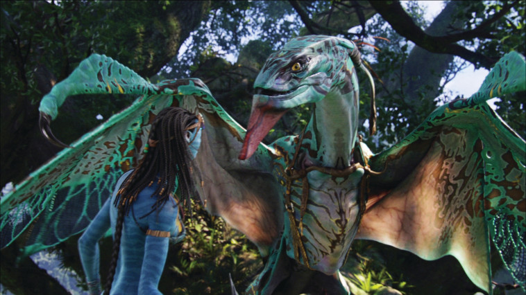 קמרון כבר בניו זילנד מתחילת החודש. &ldquo;אווטאר 2