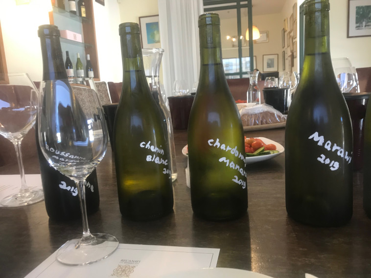 טעימת יינות רקנאטי 