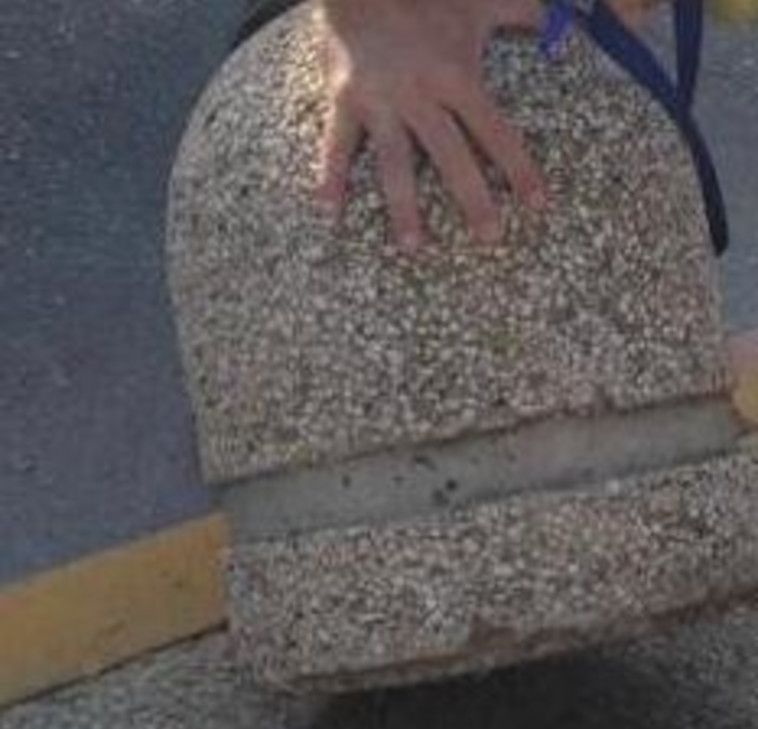 פטריית בטון