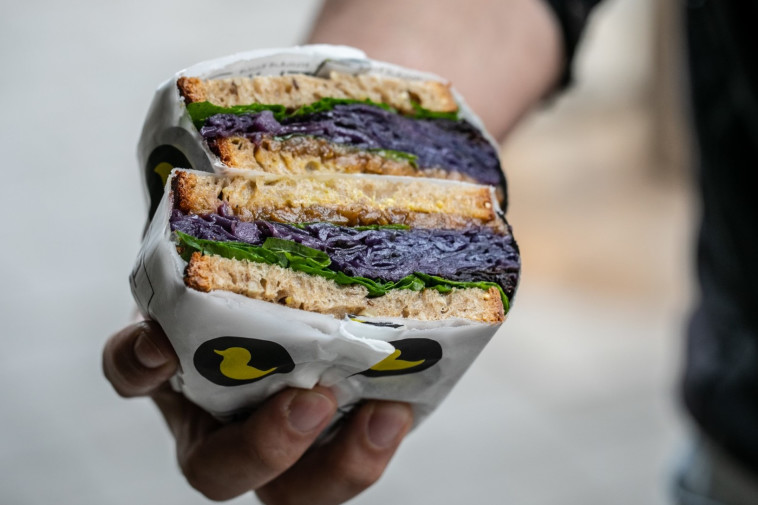 ברווזי כריך כרוב סגול