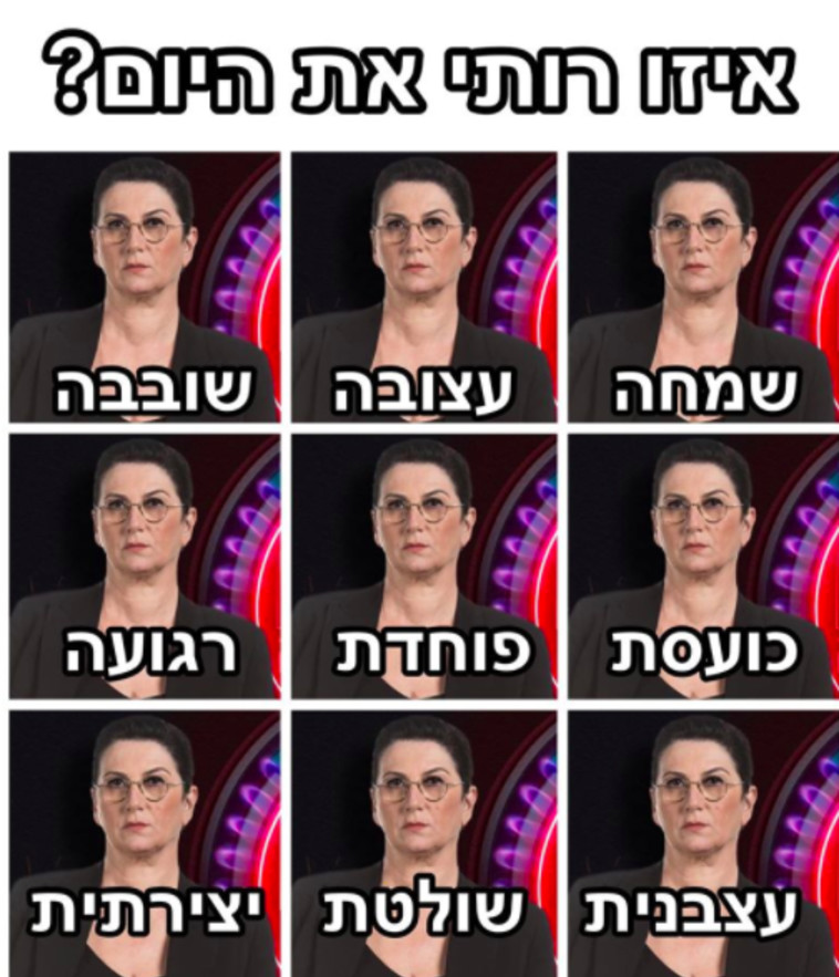 רותי ברודו