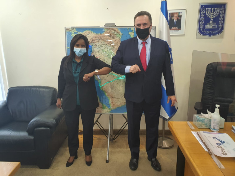 ישראל כ''ץ, פנינה תמנו שטה