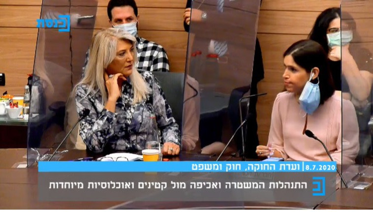 קארין אלהרר, אסנת מארק בוועדת החוקה