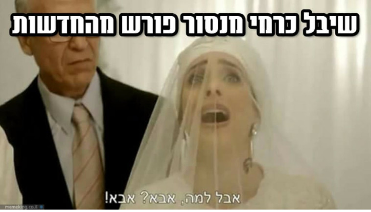 גיוס המונים לשיבל שימשיך לקריין לנו! (צילום: צילום מסך)