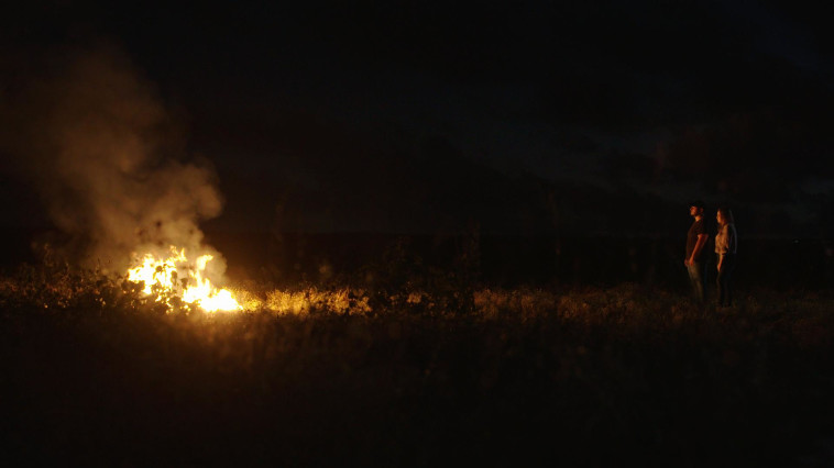 מתוך ''סודות מהוואדי''