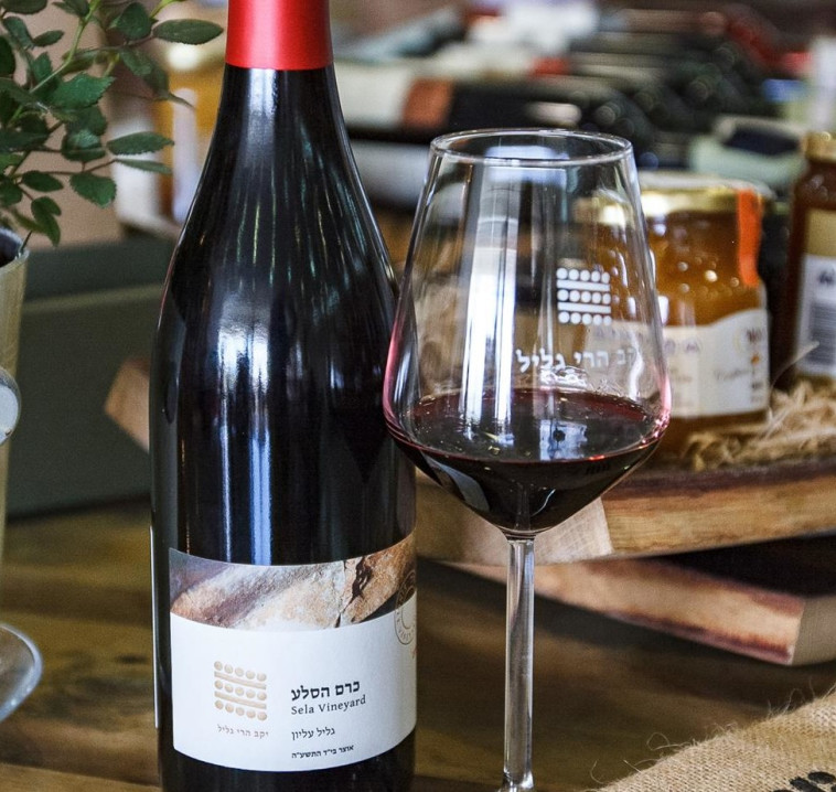 יקב הרי גליל