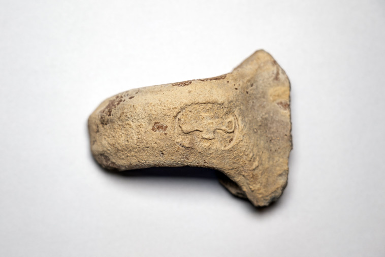 טביעת חותם 'למלך' מטיפוס דו כנפי (צילום: יניב ברמן, רשות העתיקות)