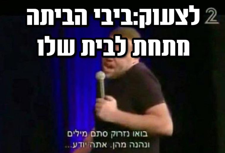 מם של שבי זאבי 
