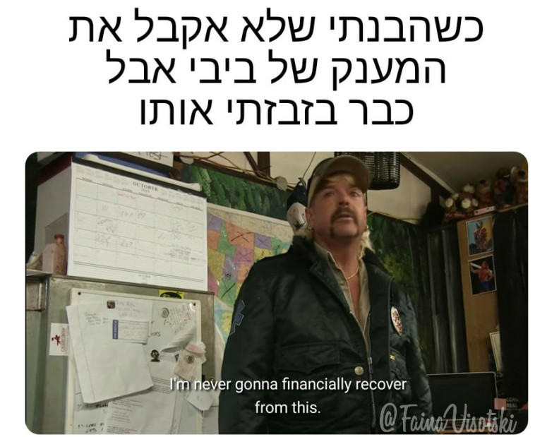 מם של Faina Visotski