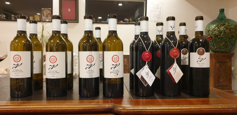 טעימת יינות יתיר, מרכז 'איש הענבים'  (צילום: מירה איתן)