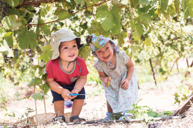 בציר ביקב יפתחאל