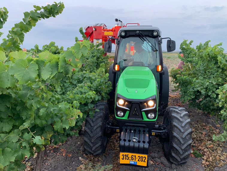 בציר, יקבי כרמל 