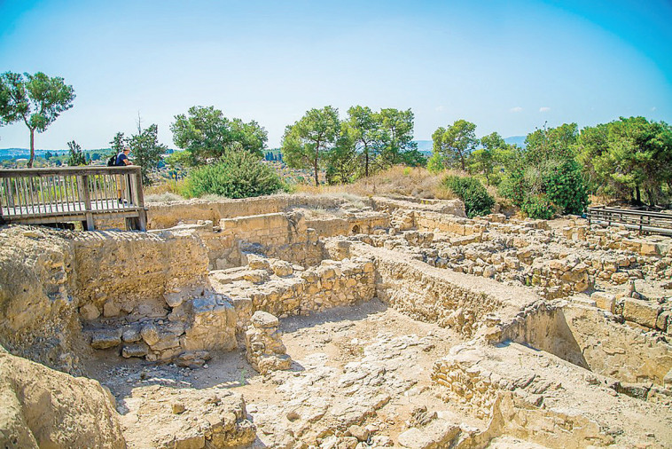 הגן הלאומי ציפורי