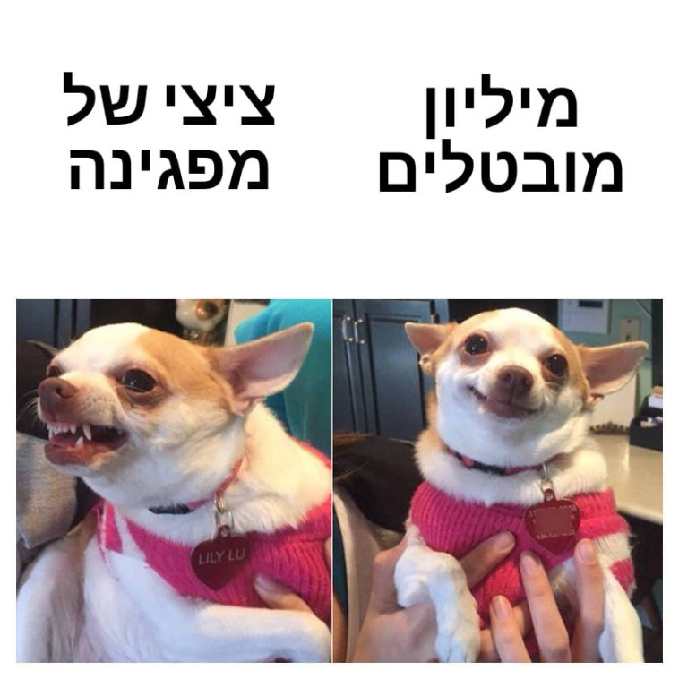חשוב לדעת על מה לכעוס