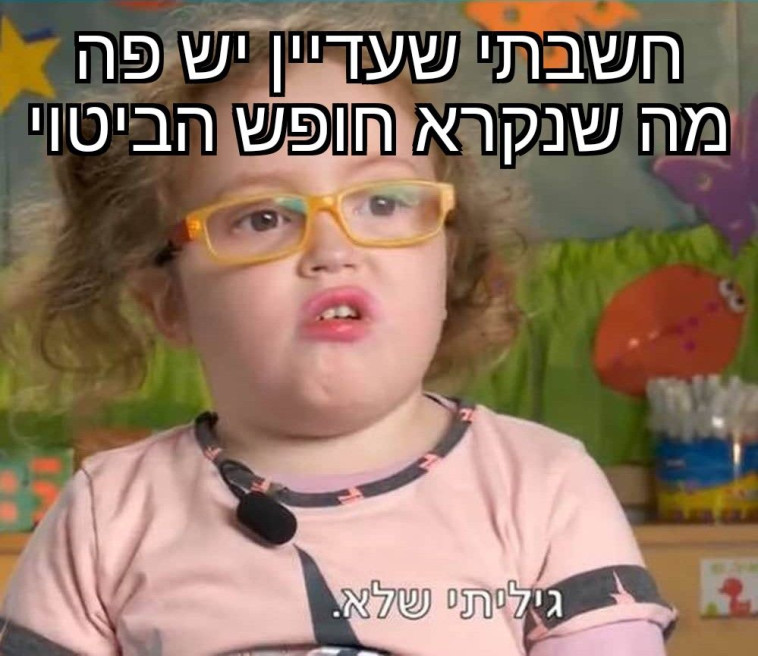 מדינה יהודית, פחות דמוקרטית