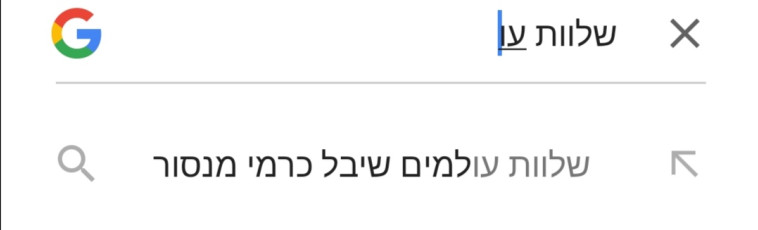 שיבל, נתגעגע. מציאה של Adi Messika