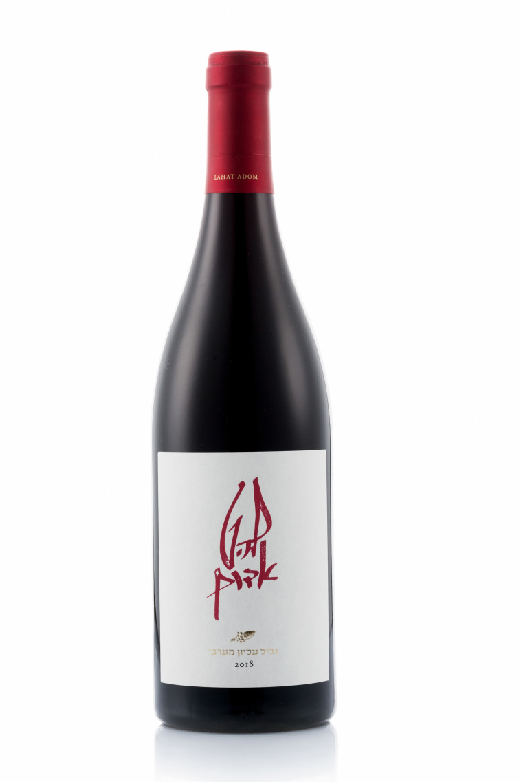 להט אדום 2018