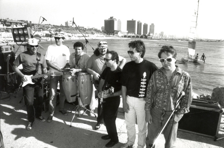 כוורת בשנת 1990